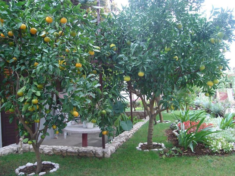 Apartment Mia - Spacious Apartment On 85 M2 With Beautiful Sea View Trogir Eksteriør bilde